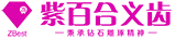 Z-Best (Hong Kong) Dental Science & Technology Co.,Ltd.