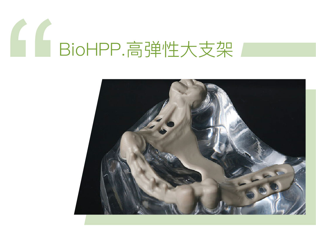 BIO-HPP高弹性支架