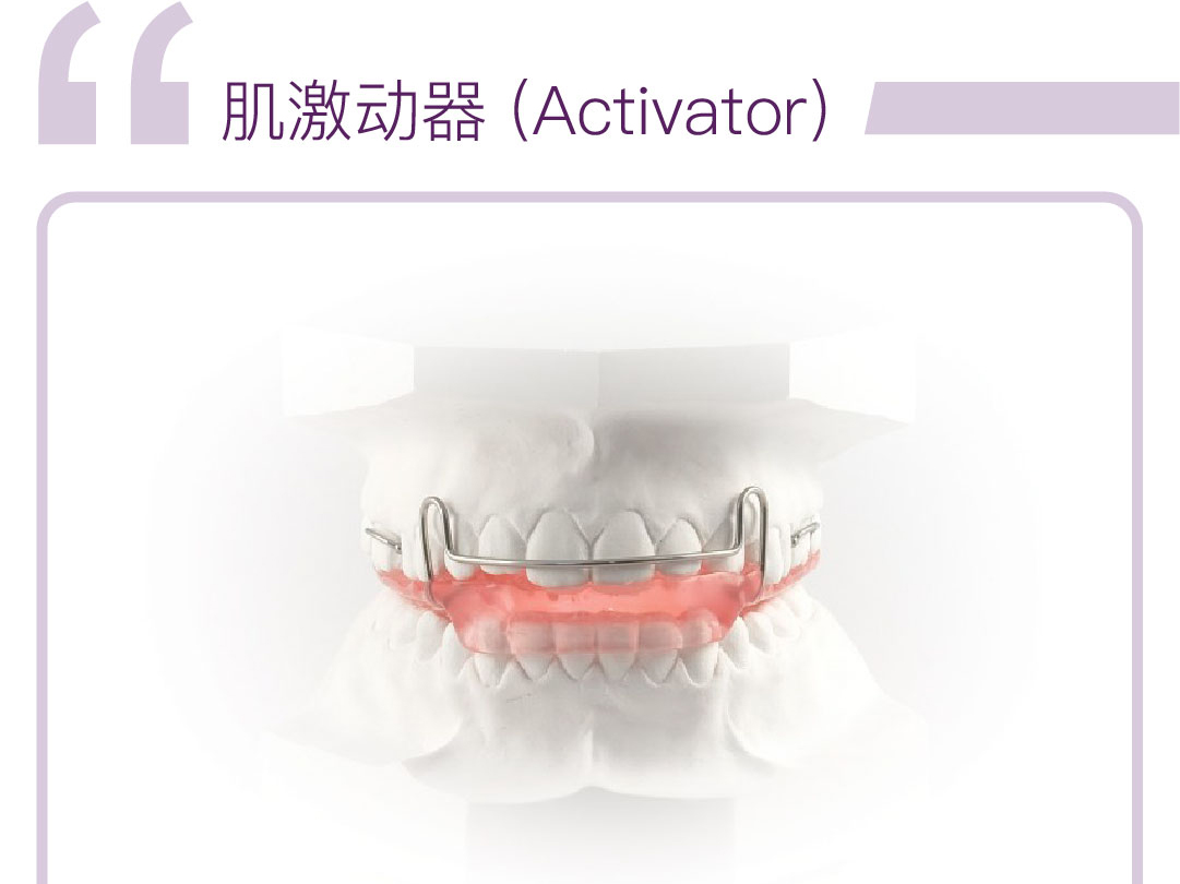 肌激动器(Activator)