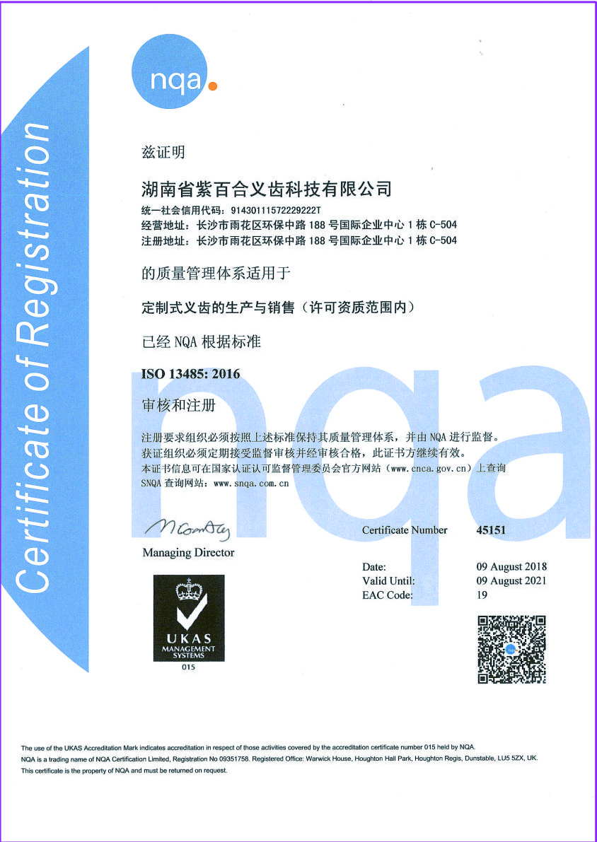 ISO 13485  质量管理体系