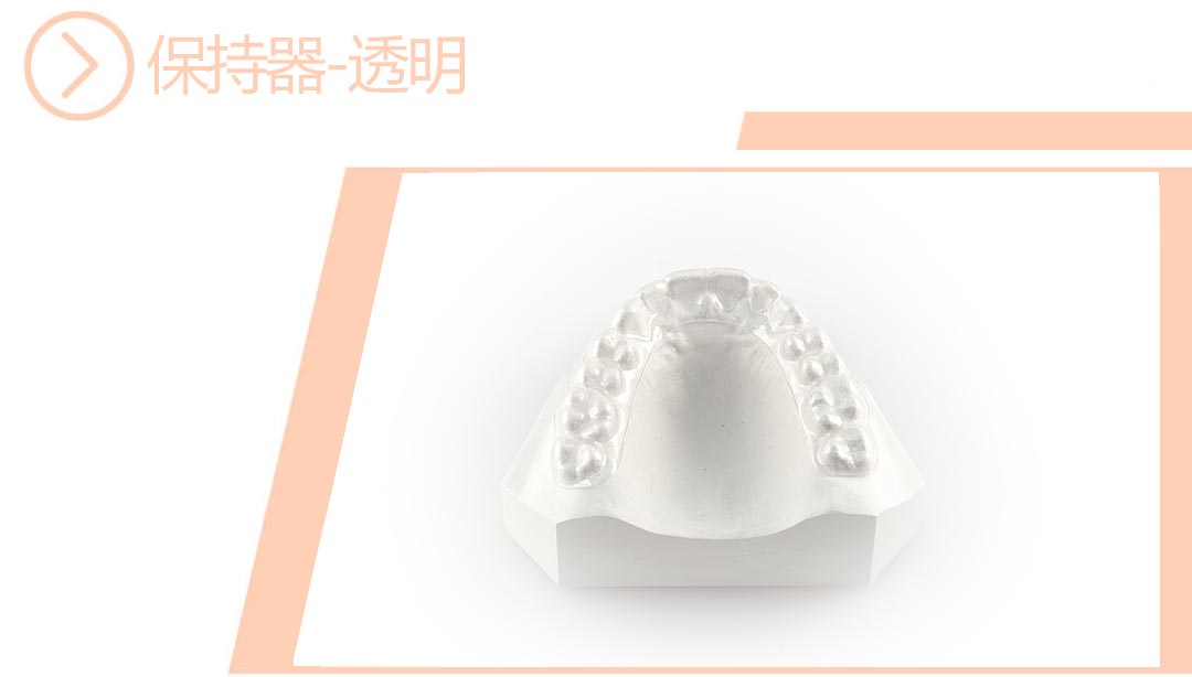 透明保持器