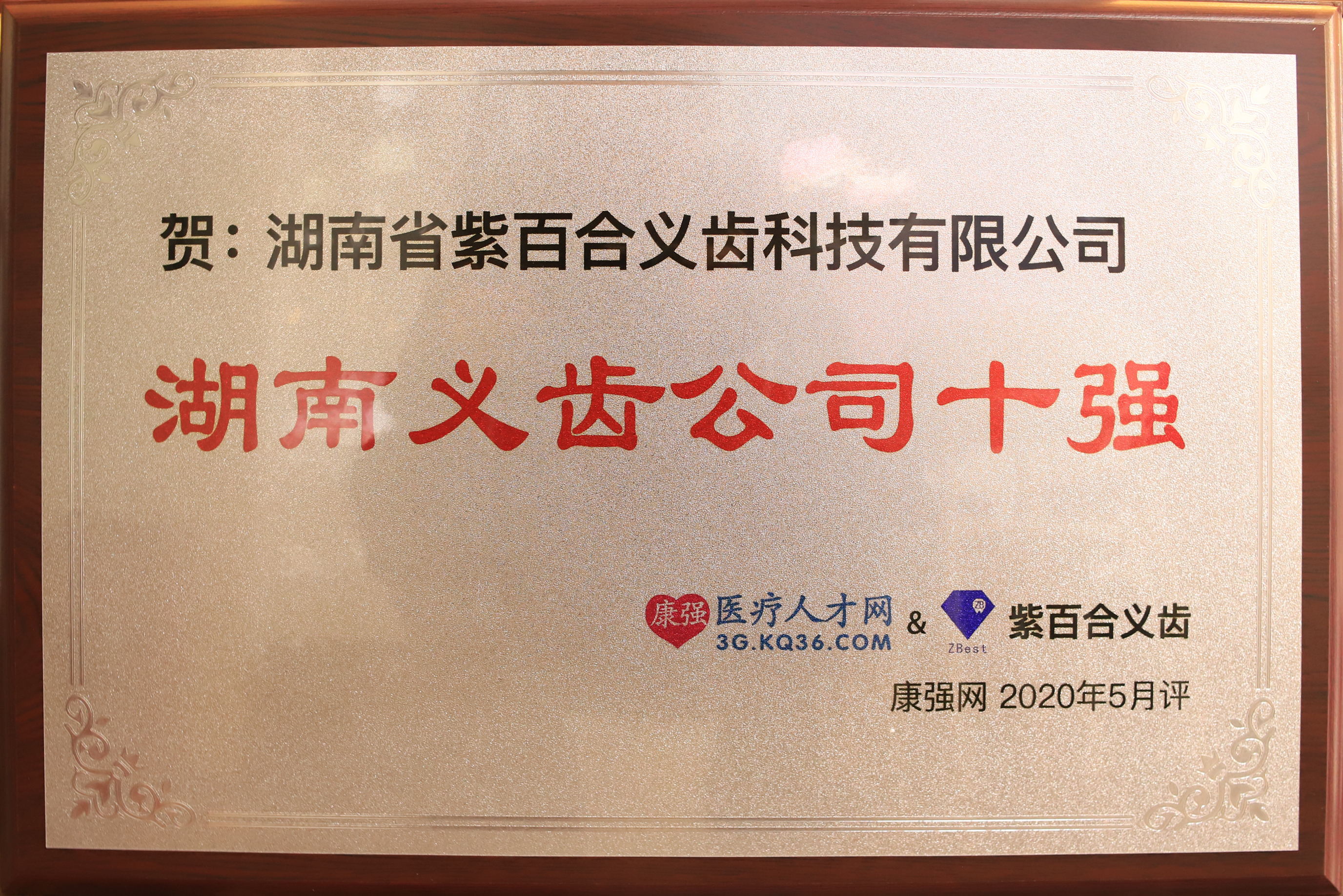 湖南省义齿公司十强