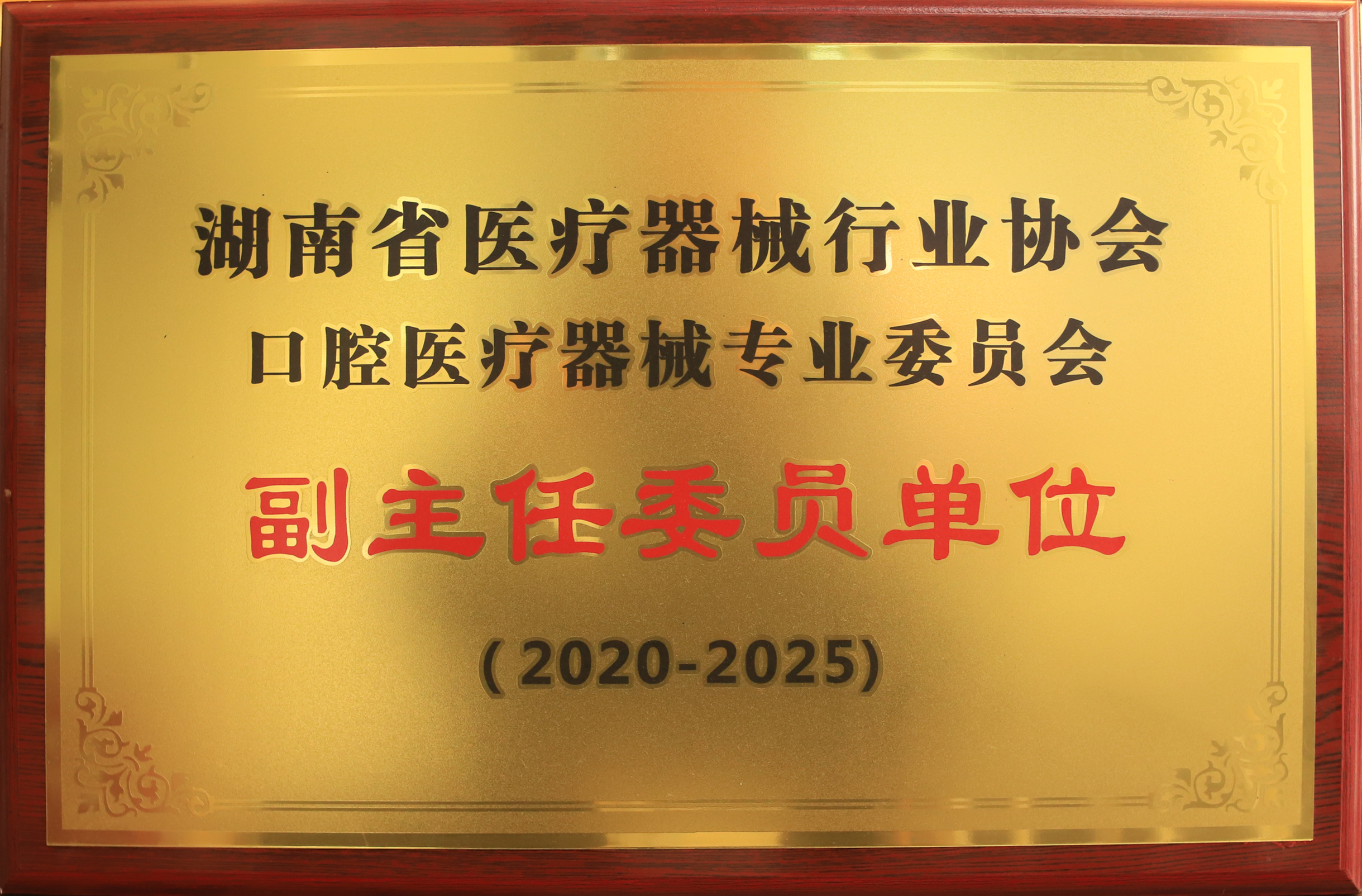 湖南省医疗器械行业协会口腔医疗器械专业委员